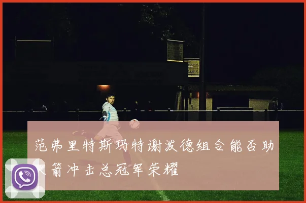 范弗里特斯玛特谢泼德组合能否助火箭冲击总冠军荣耀