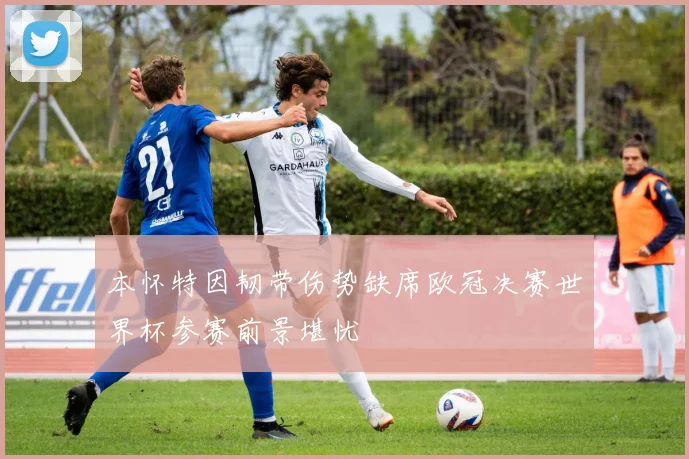 本怀特因韧带伤势缺席欧冠决赛世界杯参赛前景堪忧