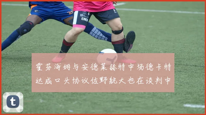 霍芬海姆与安德莱赫特中场德卡特达成口头协议佐野航大也在谈判中